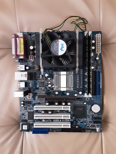 Scheda madre asrock - madre,