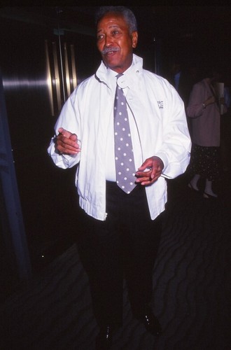Dia david dinkins celebrity - dia,