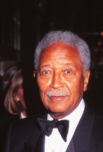 Dia david dinkins celebrity - dia,