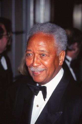 Dia david dinkins celebrity - dinkins,