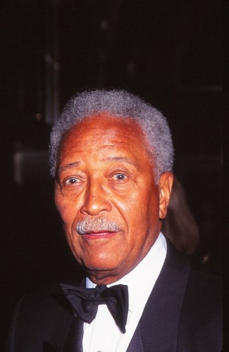 Dia david dinkins celebrity - dia,